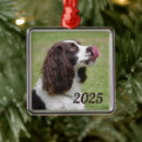 Suche nach spanisch ornamente Englisch springer spaniel