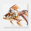 Suche nach goldfisch magnete Schwarzes