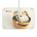 Suche nach pet care Einfach