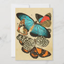 Suche nach vintage insekten karten Käfer