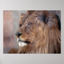 Suche nach lion king poster Natur