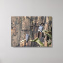 Suche nach falken leinwandbilder Wildtiere