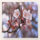 Suche nach kirschbaum untersetzer Rosa