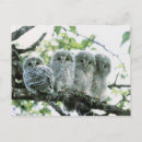 Suche nach hokkaido postkarten Horizontal