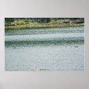 Suche nach entlein poster Natur