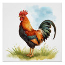 Suche nach rooster poster Hahnenkunst