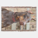 Suche nach dobermann decken Hund