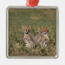 Suche nach kenia ornamente Baby