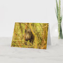 Suche nach wildschwein karten Tiere