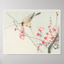 Suche nach songbird poster Natur