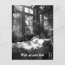 Suche nach gewächshaus postkarten Vintag