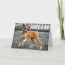 Suche nach boxer hunde karten Welpen