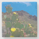 Suche nach tucson untersetzer Südwest