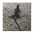 Suche nach lizard fliesen Tier