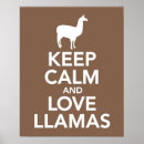 Suche nach weißes lama poster Lamas