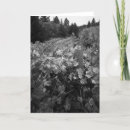 Suche nach 1966 karten Fotografie