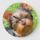 Suche nach yorkshire terrier wanduhren Dog