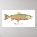 Suche nach trout poster Thom