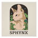 Suche nach sphynx poster Haarlose katze