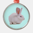 Suche nach ostern ornamente Tier