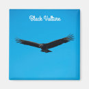 Suche nach geier magnete Vogelvogel