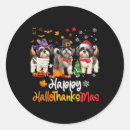 Suche nach shih tzu aufkleber Urlaub