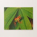 Suche nach biologie puzzle Grün