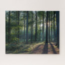 Suche nach der wald puzzle Sonnenlicht