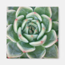 Suche nach botanik blatt magnete Natur
