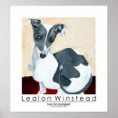 Suche nach italienischer windhund poster Hunde