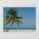 Suche nach weißer sandstrand postkarten Blau