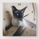 Suche nach siamesisch wanduhren Siamesische katze