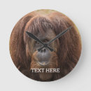 Suche nach orang utan wanduhren Menschenaffe