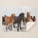 Suche nach pferde schnee decken Pony