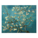 Suche nach berühmte van gogh gemälde poster Mandelblüten