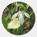 Suche nach schneefallen aufkleber Blume