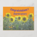 Suche nach sommerblumen karten Sonnenblumenfeld