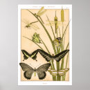 Suche nach papillon poster Natur