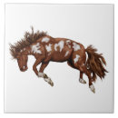 Suche nach bronco fliesen Rodeo