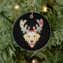 Suche nach weihnachtslichter ornamente Lustig