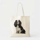Suche nach cavalier king charles spaniel tragetaschen Hund