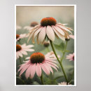 Suche nach echinacea poster Natur