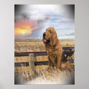 Suche nach hunting dog poster Dogs
