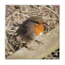 Suche nach rotkehlchen fliesen Robins