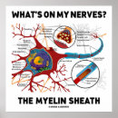 Suche nach nerves poster Neuron