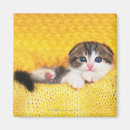 Suche nach falten sie magnete Tier