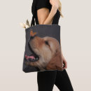 Suche nach golden retriever taschen Haustiere