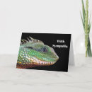 Suche nach iguana karten Foto