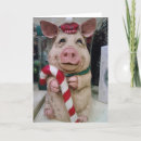 Suche nach weihnachtsschwein karten Schweinig