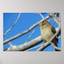 Suche nach spatzen poster Vogel